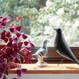 Eames housebird 2